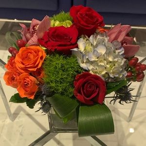 Meet your Posher, Jamila